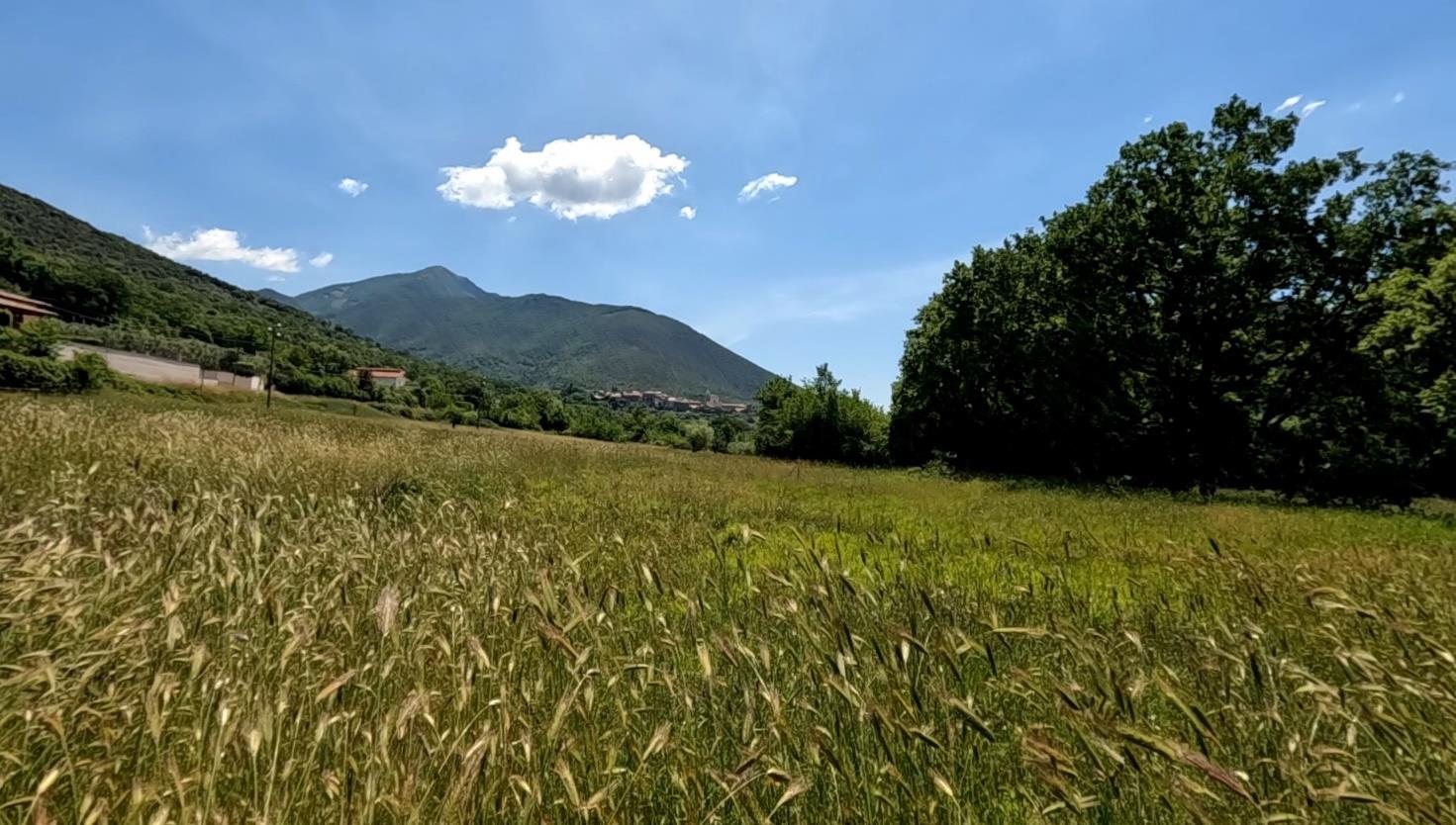 Vista dalla vetta del Monte Occhio